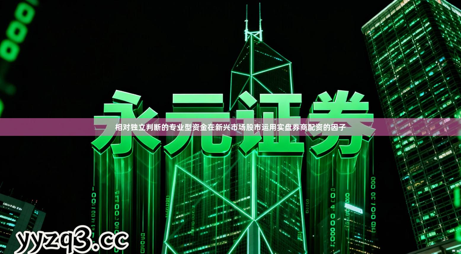 相对独立判断的专业型资金在新兴市场股市运用实盘券商配资的因子