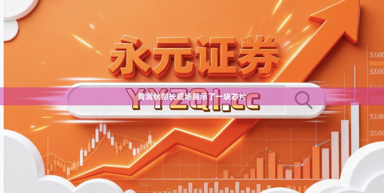 黄润秋部长现场展示了一块芯片